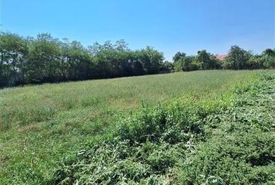 TEREN INTRAVILAM DE VANZARE IN BORZESTI - ONESTI - 2