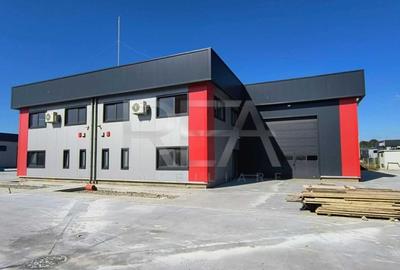 Spațiu industrial, de 440 mp, în Domnești - 3
