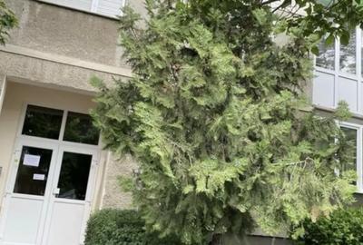 PB Decomandat la Etajul 1 pe str DOINEI !! - 6