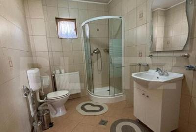 Casa cu destinatii multiple, 8900 mp teren, Vatra Moldovitei - 7