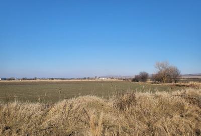 Teren - extravilan - 19.400 mp - Sura Mica
