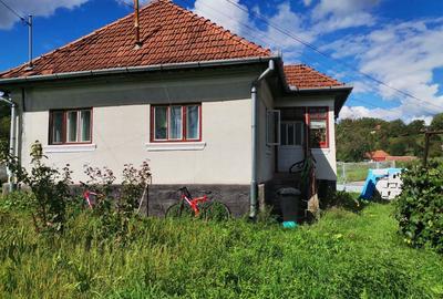 Casă cu 5 camere cu Teren 6800 Mp în Hărțăgani - 1