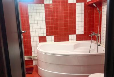 Apartament cu 3 camere decomandat, mobilat în Nicolina - 10