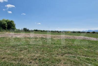 Teren 6300mp-Oportunitate investitie,zona in dezvoltare - 8