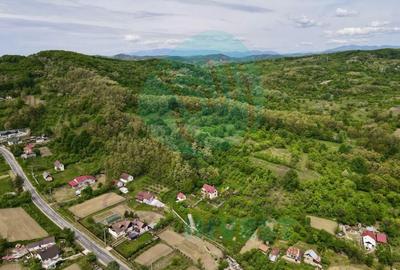 Oază de liniște și confort la poalele pădurii - Casa ta de vis! - 13