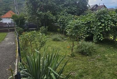 Casă cu 4 camere cu Teren 5500 Mp în Lerești - 13