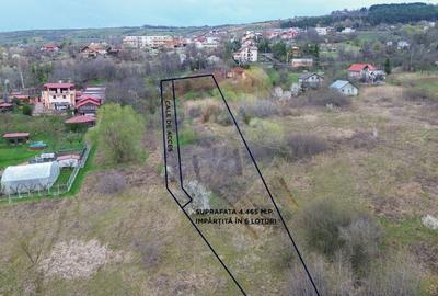 Teren agricol intravilan de 5006 mp, în Bucium - 2