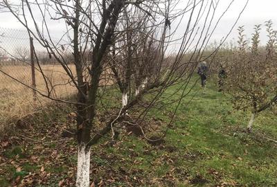 Alios - Teren Intravilan - 1470Mp - 2