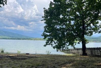 Teren extravilan de 6000 mp, în Fârdea - 5