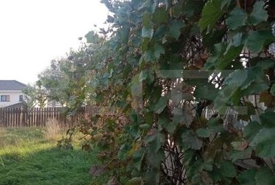 Vila individuala in Dumbravita, zona Lac-padure Vila individuala in Dumbravita, zona Lac-padure - 11