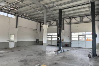 Spațiu comercial, de 400 mp, în Petru Rareș - 2