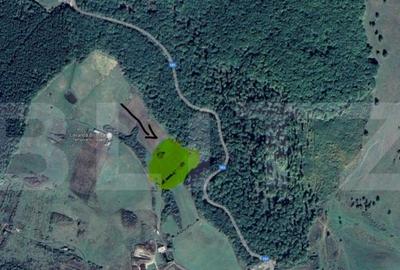 Teren de vanzare extravilan, 1ha, drumul Sigmirului - 1