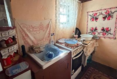 Casă cu 5 camere cu Teren 3252 Mp în Aghireșu - 16