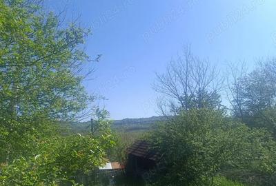 Vand casa cu anexe ?i teren 8900 mp Vand casa cu anexe ?i teren 8900 mp - 4