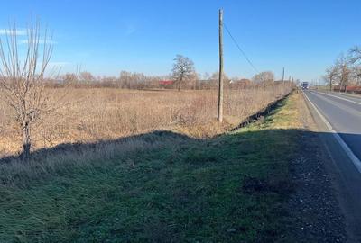 Teren intravilan, Săcădat, 27 921 mp. 9,5 Euro/mp. Comision 0. Teren intravilan, Săcădat, 27 921 mp. 9,5 Euro/mp. Comision 0. - 8