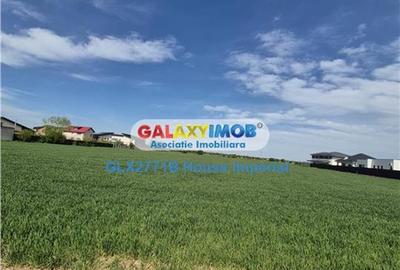 Teren Construcții intravilan de 14300 mp, în Dragomirești-Vale - 3