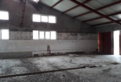 Proprietate specială, de 5,441 mp, în Vâlcelele - 7