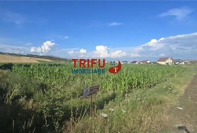 Teren de vânzare în Ighiu 1000 mp cu utilități Teren de vânzare în Ighiu 1000 mp cu utilități - 2