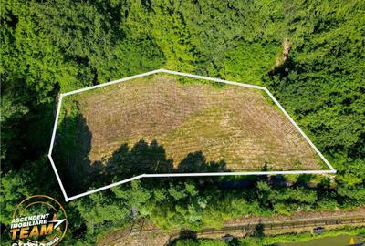 Teren de 2737 mp, în Dobârlău - 5