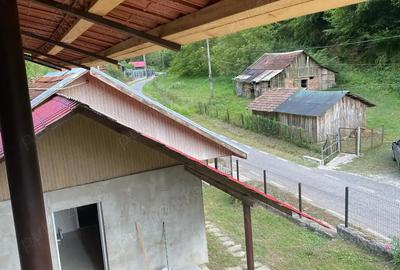 Vand casa si teren cu suprafa?a de 6523m - 8