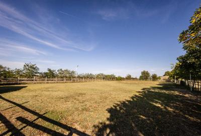 Casă cu 2 camere în Zădăreni - 5