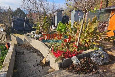 Căsuța din Barabant: O Afacere Mai Bună Decât Un Apartament? - 4