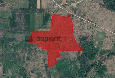 Teren de 140000 mp, în Săldăbagiu de Munte - 1