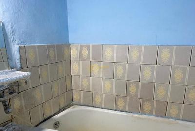 Apartament 2 camere Alexandru Cel Bun Apartament 2 camere Alexandru Cel Bun - 7