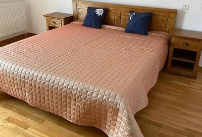 Duplex P+M zona Braytim-Muzicescu - 4