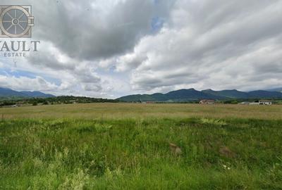 Teren Construcții intravilan de 10000 mp, în Tohanu Nou - 3