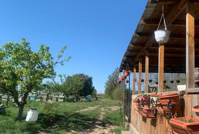 FERMĂ - LA DN3 - 10.680 MP/84 M DESCHIDERE - UTILITĂȚI - 29