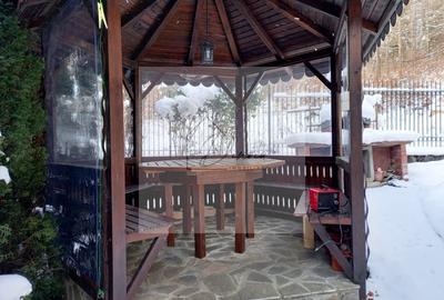 OCAZIE I COMISION 0% I Vila Busteni Poiana Tapului I Liziera padurii - 7