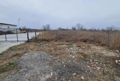 Teren de 1000 mp, în Mineri - 1