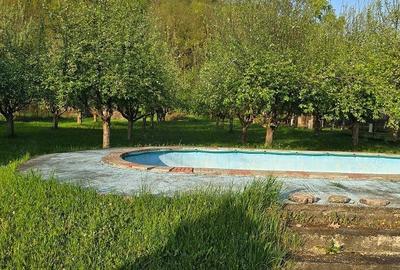 Casă cu 5 camere cu Teren 2763 Mp în Băița - 13