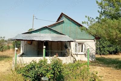 Vand casa cu 2500 mp teren