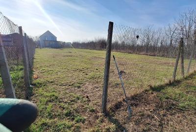 Teren Construcții intravilan de 750 mp, în Brănești - 3