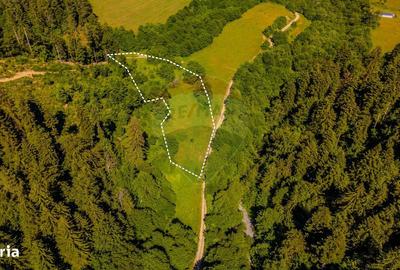 Spațiu comercial, în Brădet - 6