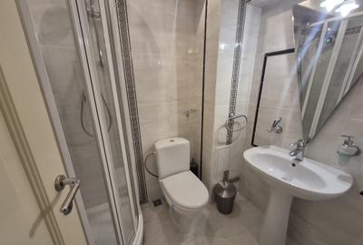 Apartament cu 3 camere decomandat, mobilat în Calea Romanului - 7