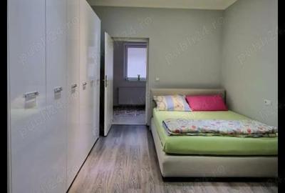 Vand casa individuala curte comuna Timisoara - 5