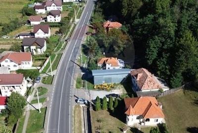 Spatiu comercial si casa de vanzare in Furnicosi. - 12