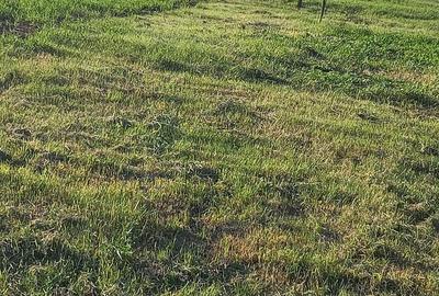 Casă cu 2 camere cu Teren 132 Mp în Ceanu Mare - 15