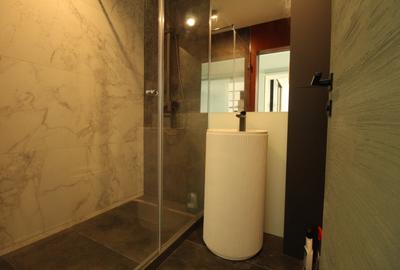 Piata Alba Iulia - Bd. Burebista - bloc mixt - studio complet renovat - 11
