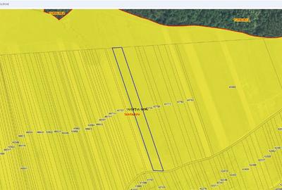 Vand teren extravilan in Comuna Tantareni, Gorj - 1