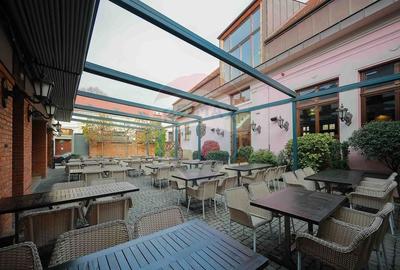 Proprietate specială, de 1,095 mp, în Ultracentral - 29