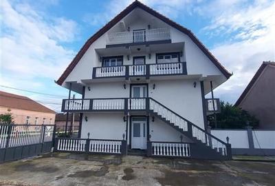 Casa cu 2 etaje si hala mare in Ineu de Cris - 4