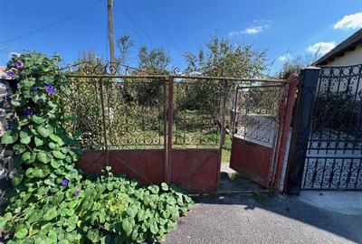 De vanzare casa veche+teren de 50 arii in Vidrasau - 2