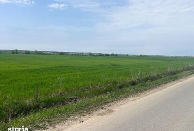 Teren de 5600 mp, în Ciocănești - 2