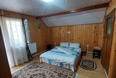 Pensiune turistica (afacere la cheie) Lepsa - 1