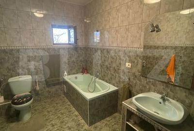 Casă cu 6 camere cu Teren 3982 Mp în Remetea Mare - 13