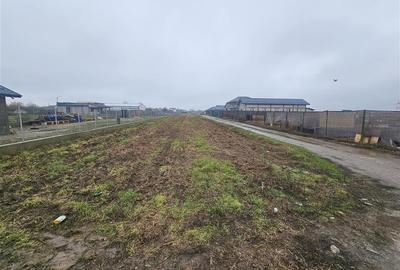 Teren intravilan Darasti - Ilfov - 1